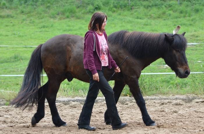 Bellzett Seminar für Frauen mit führungskompetenzen mit hilfe von pferden stärken