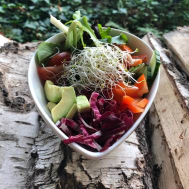 schwesterherzen-birgit-wöhler-vegan-vegetarisch-catering