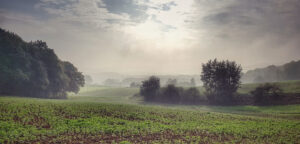 wie Unternehmerinnen der Krise trotzen